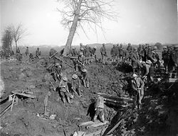 Australians from the 2nd Pioneer Battalion at Bapaume in 1917 (AWM image E00343).jpg