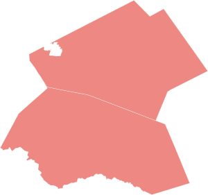 2020 general election in Texas' 31st congressional district.svg