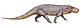 Prestosuchus-chiniquensis (2).jpg