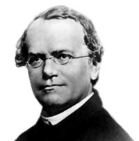 Chân dung Gregor Mendel