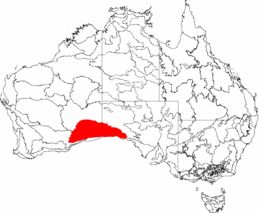 IBRA 6.1 Nullarbor.png