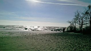 Point Pelee looking Southwest, Jan 2015