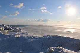 Point Pelee looking Southeast, Jan 2018