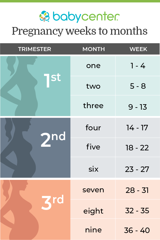 illustrated chart detailing how to count your pregnancy in trimesters months and weeks