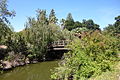 Putah Creek at the University of California, Davis