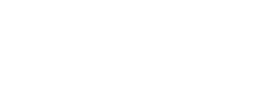 Litmus Logo