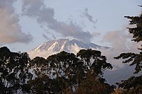 Mlima Kilimanjaro