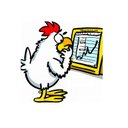 @FixingChicken profile