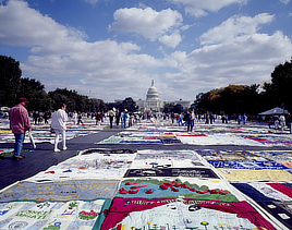 People walk among large fabric panels laid out near the U.S. Capitol Building.