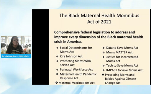 Keynote: Joia Crear-Perry, MD - The Birth Equity Movement