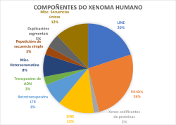 Porcentaxes xenoma humano.svg