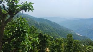 Greenery and mountain scenery