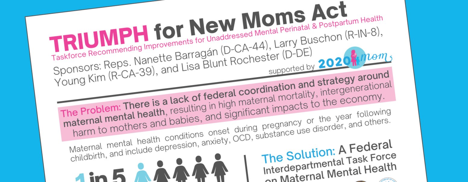 Federal TRIUMPH for New Moms Act