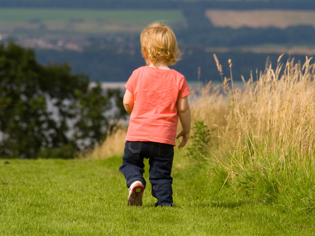 child walking in a meadow