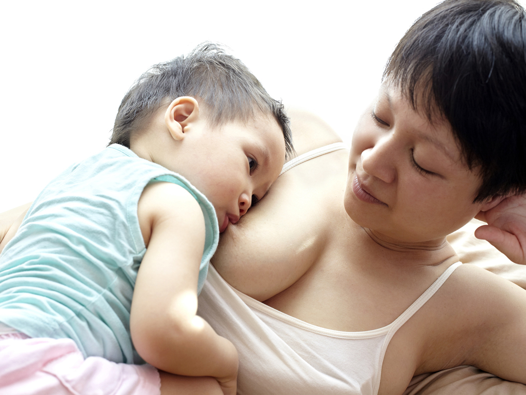 Toddler breastfeeding