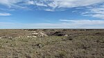 High Plains i Texas (region 25).