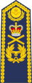 Marshal of the Royal Air Force (shoulder board)