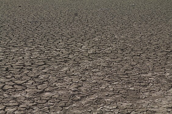 Cracked dry soil in submerged village of Aceredo