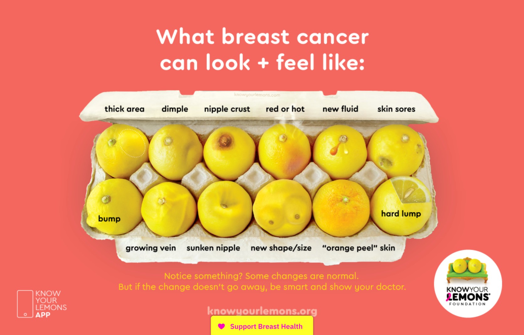 Know Your Lemons Foundation