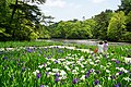 Kobe Municipal Arboretum