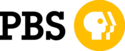PBS gold logo from 1998 to 2019.