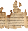 Image 53Portion of the Temple Scroll, one of the Dead Sea Scrolls written by the Essenes (from History of Israel)