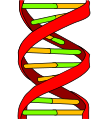 Image 6alt=DNA label (from Scientific method)