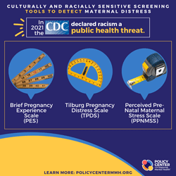  Culturally and racially sensitive screening tools to detect maternal distress 