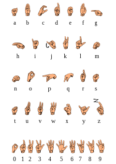 chart of letters in the American manual alphabet, with Latin script equivalents