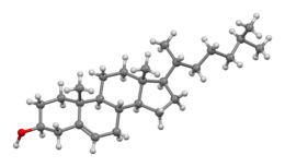 Ball-and-stick model of cholesterol