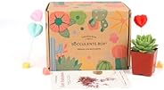 Succulents Box - 1 Succulent/Month Subscription Boxes - Unique Gift Ideas for Birthday, Inspirational Gifts fo