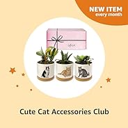 Highly Rated Cute Cat Accessories Club - Amazon Subscribe & Disc