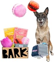 BarkBox Monthly Subscription Box, Dog Chew Toys, All Natural Dog Treats, Dental Chews, Dog Supplies Themed Mon