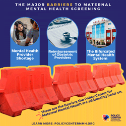  The major barriers to maternal mental health screening 