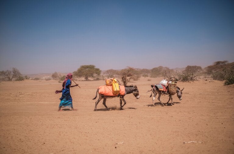 A shepherd with donkeys in southern Ethiopia last year.