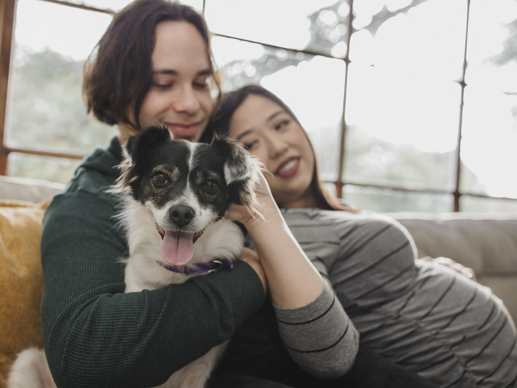 Homem branco e mulher asiática grávida fazem carinho em um cachorro