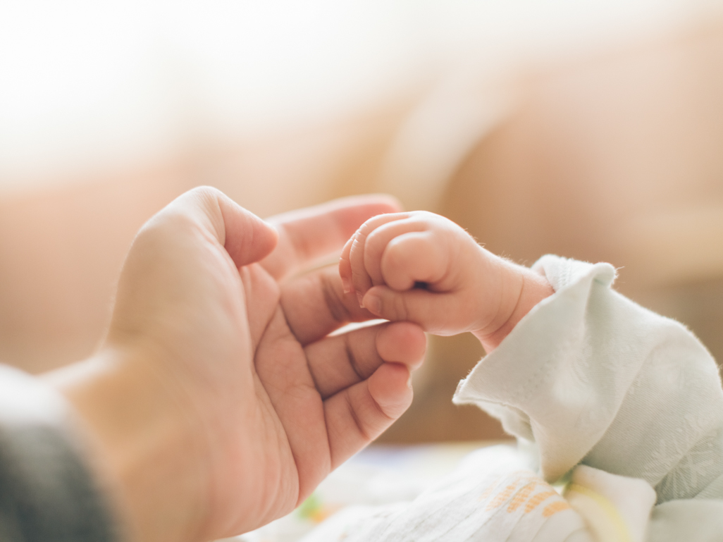 Closeup of a baby holding an adult's hand