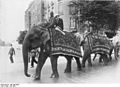 A parade of elephants with Indian trainers from the Hagenbeck show, on their way to the Berlin Zoological Garden, 1926