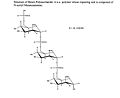 Fig.1 N. meningitidis group A