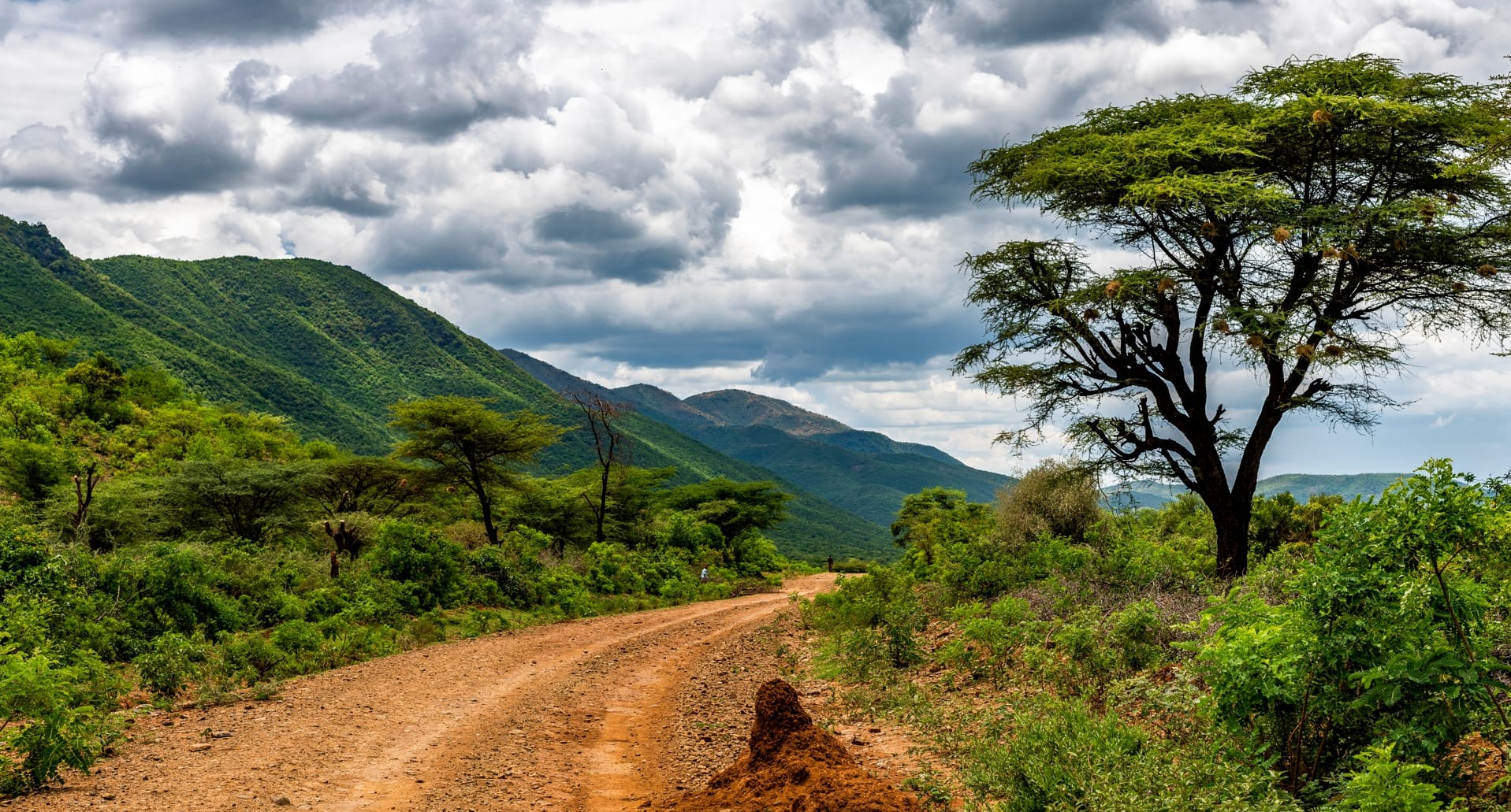 Rural road