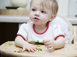 Older baby eating finger food in a high chair