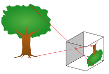 Principle of a pinhole camera. Light rays from an object pass through a small hole to form an image.