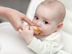 Baby on a high chair biting into a slice of orange