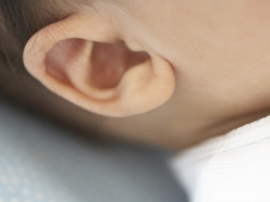 close up of baby's ear