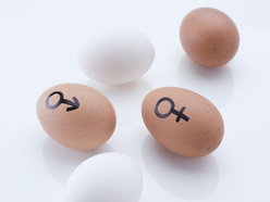 eggs with female and male symbols painted on them