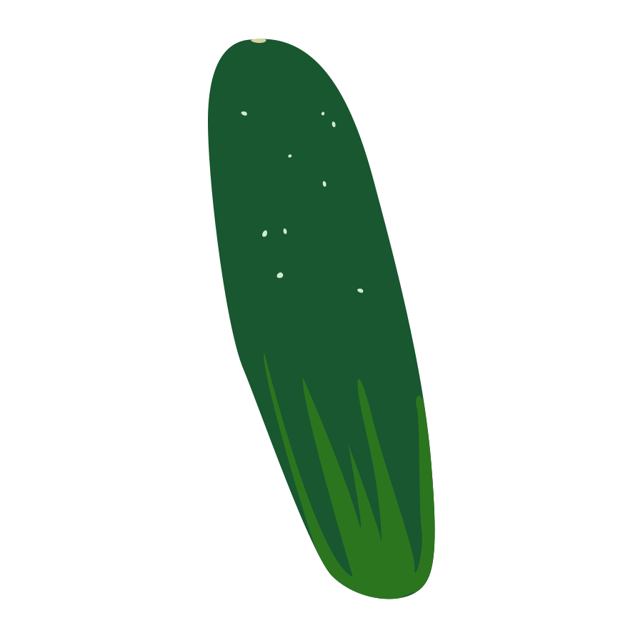 cucumber (kheera) illustration