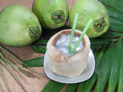 Tender coconut water drink with two straws next to a few uncut coconuts