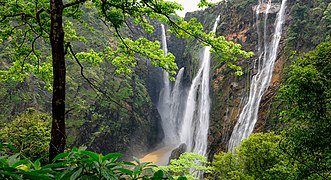 Chutes de Jog, Karnataka.