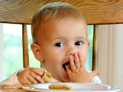 Toddler sitting in highchair, feeding herself