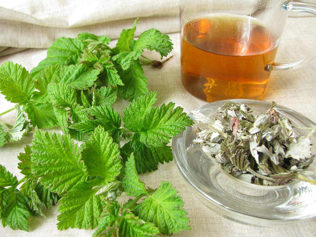 pitcher of tea and assorted herbs